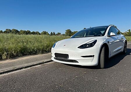 Tesla Model 3 Long Range mit Enhanced Auto Pilot