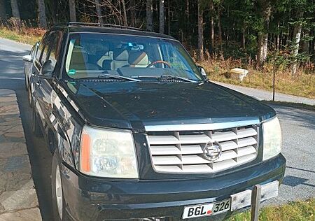 Cadillac Escalade 6.0 V8 Autom. -