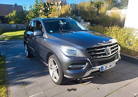 Mercedes-Benz ML 350 4MATIC BlueEFFICIENCY -
