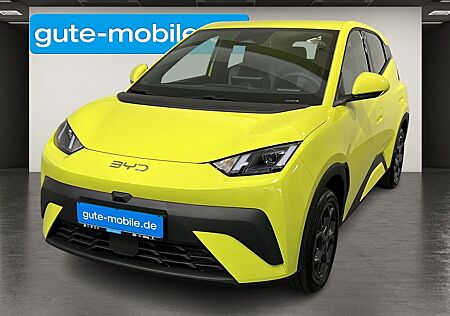 BYD DOLPHIN Surf Boost ACC | KAMERA | LEDER