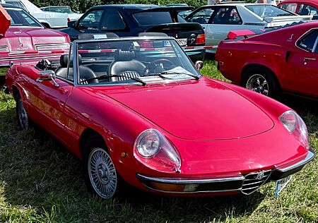 Alfa Romeo Spider