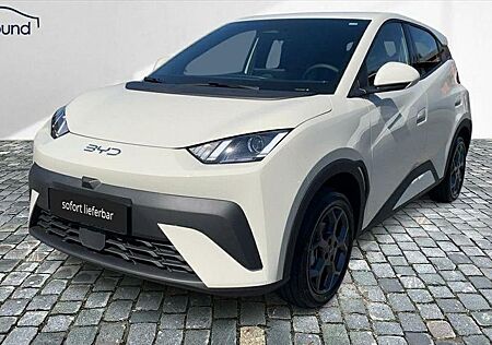 BYD DOLPHIN Surf Boost Alarm Alu DAB Keyless Klima N