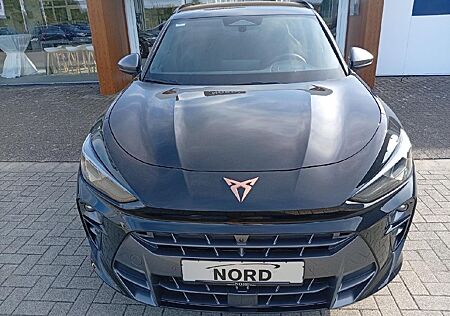Cupra Terramar gebraucht kaufen Cupra Terramar 1.5 eTSI 110 kW Navi Haed-Up-Display