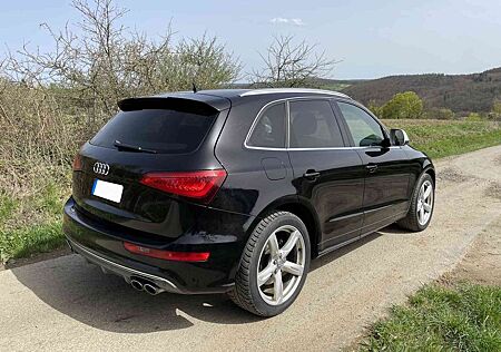 Audi SQ5 3.0 TDI quattro - Sitzlüftung/Kamera/Pano