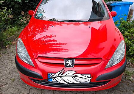 Peugeot 307 Grand Filou 110 Grand Filou
