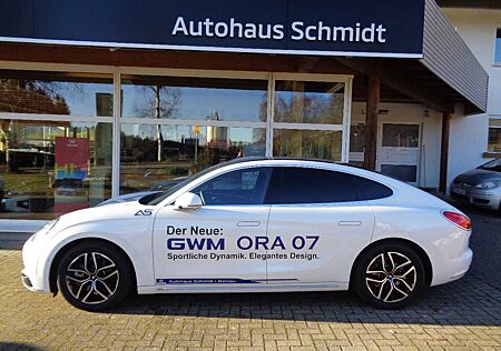 GWM Ora 03 Ora 07 PRO ELEKTRO