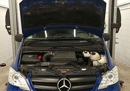 Mercedes-Benz Vito 113 CDI Extralang Mixto Flügeltüren blau