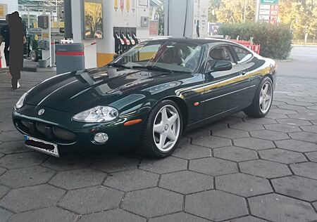 Jaguar XK8 gebraucht kaufen Jaguar XK8 Coupe -