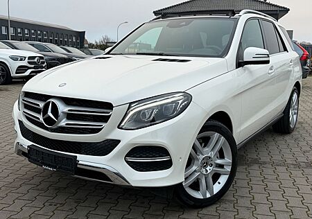 Mercedes-Benz GLE 250 GLE 250d AMG Line 4-Matic Panoramadach