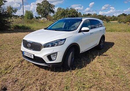 Kia Sorento gebraucht kaufen Kia Sorento 2.2 CRDi AWD Platinum Edition Automa...