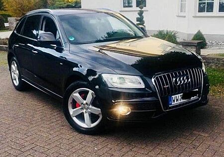 Audi Q5 2.0 TDI*ultra 3x S-Line*Ahk*Bi-Xenon*Nav*Led