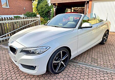 BMW 218d Cabrio HIFI Lenkradhzg