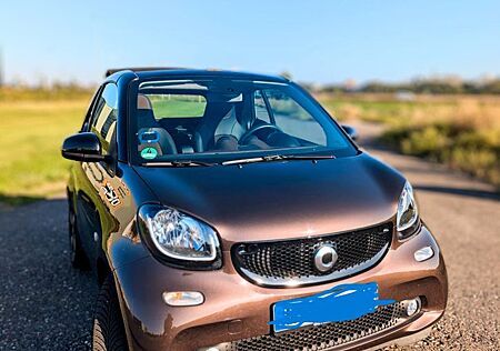 Smart Fortwo Cabrio, Sonderedtion "twinamic perfect"