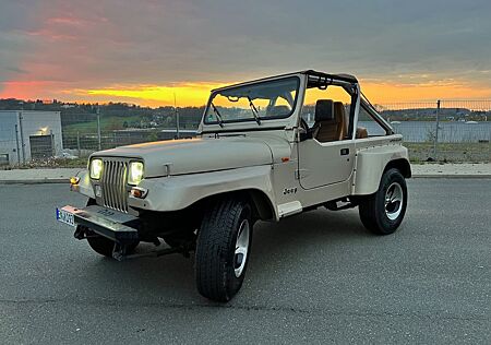 Jeep Wrangler 4.0 Automatik, Klima - Japan Import