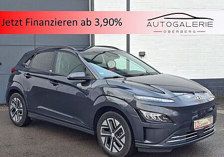 Hyundai Kona Elektro Trend LED NAV CAM ACC WP SHZ KRELL