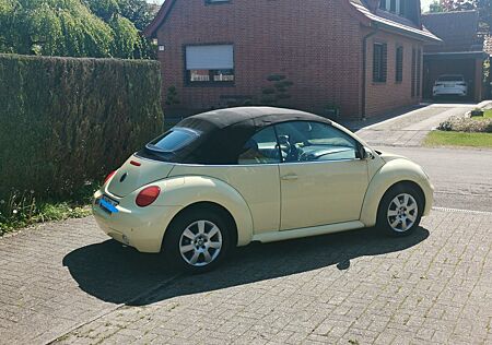VW Beetle Volkswagen