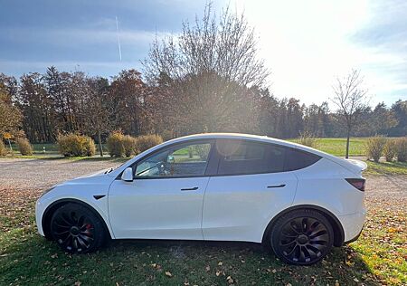 Tesla Model Y Performance Dual Motor AWD Performance