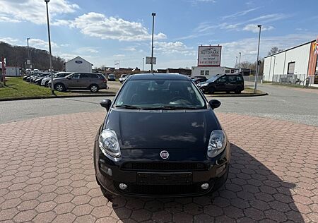 Fiat Punto More