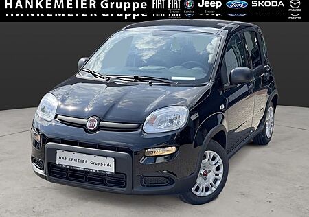Fiat Panda 1.0 Hybrid -Klima-Bluetooth-5 Sitzer-DAB+