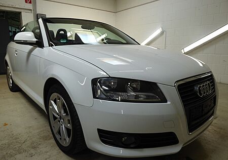 Audi A3 Cabriolet 1.8T Ambition *Leder*Klima*
