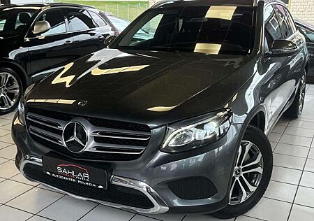 Mercedes-Benz GLC 220 d 4Matic AMG INTERIEUR SPUR AHK