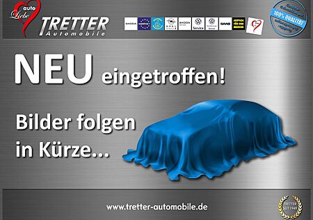 Skoda Fabia 1.0 DSG Selection RüKam ClimaTr SitzHz PDC