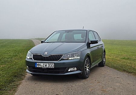 Skoda Fabia 1.2 TSI Style, MFL/Sportfw/SR+WR/Mardersch