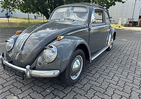 VW Käfer Volkswagen 1200 EXPORT- 1962 - TÜV- H - KENNZEICHEN-