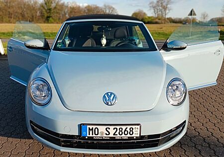 VW New Beetle Volkswagen , Cabriolet, pastellblau, Kultauto