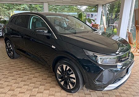 Opel Grandland X Grandland (X) Ultimate Ausstattung