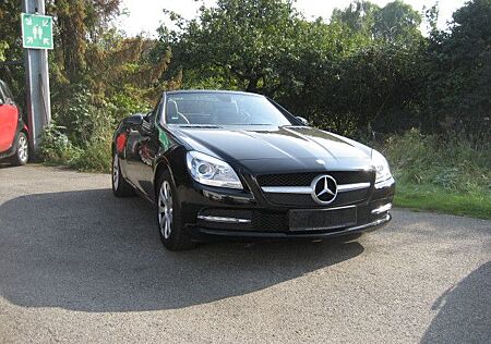 Mercedes-Benz SLK 250 SLK Roadster CDI BlueEfficiency