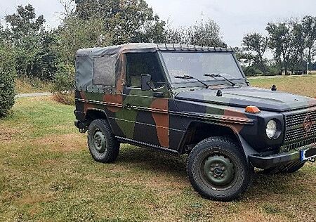 Mercedes-Benz G 250 Wolf