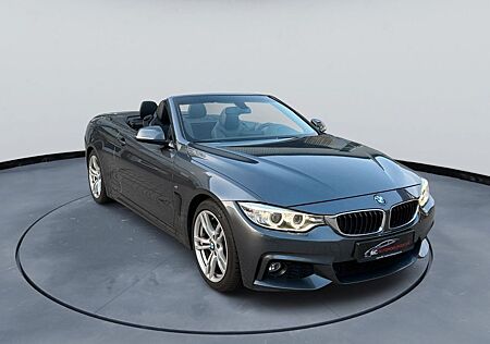 BMW 428 Cabrio i M Paket *Standheizung* Shadow-L.