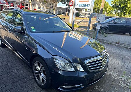 Mercedes-Benz E 250 E -Klasse T-Modell BlueEfficiency