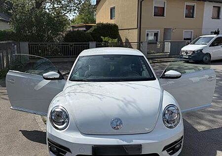 VW New Beetle Volkswagen