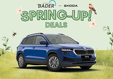 Skoda Karoq Selection "Spring-Up" AUTOWELT-BADER!