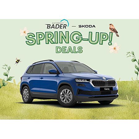 Skoda Karoq leasen