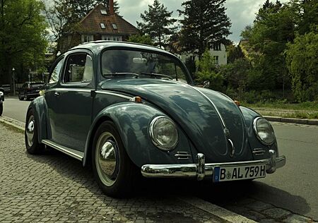 VW Käfer Volkswagen