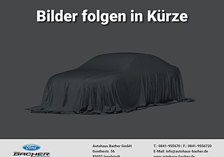 Ford Tourneo Custom 310 L1 Titanium RFK, SHZ, Navi, K