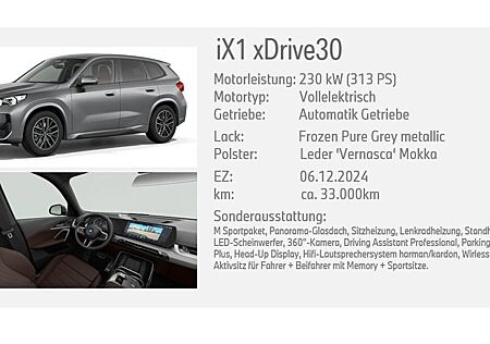 BMW iX1 xDrive30 312 PS grau matt - Vollausstattung