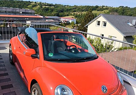 VW Beetle Volkswagen Cabrio