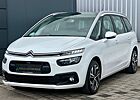 Citroën Grand C4 Picasso /Spacetourer | EUR6 | Panorama