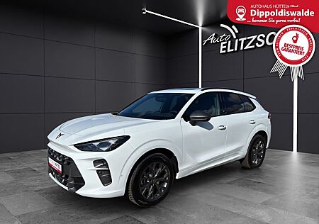 Cupra Terramar 2.0 TSI DSG 4x4 AHZ Matrix LED Pano Key