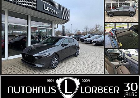 Mazda 3 M-HYBRID 2.0l 122PS SELECTION A18 DES-P NAVI +