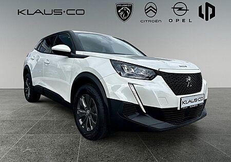 Peugeot 2008 Black&White PT 110 *Cam*SHZ*