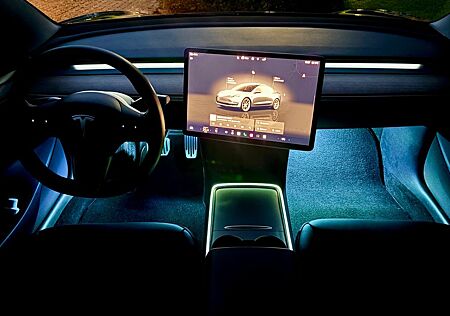 Tesla Model 3 SR+ | AHK | LFP | 1. Hand