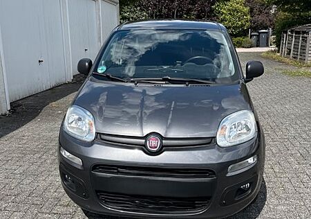 Fiat New Panda 1.2 8V Easy 69PS KLIMA/ALU/SITZHEIZU