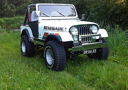 Jeep CJ 5, AMC 390, 6.2