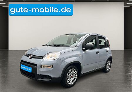 Fiat Panda MY23 Hybrid 1.0 GSE (70PS) |KLIMA| ISOFIX