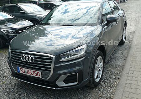 Audi Q2 sport 1,6 TDI